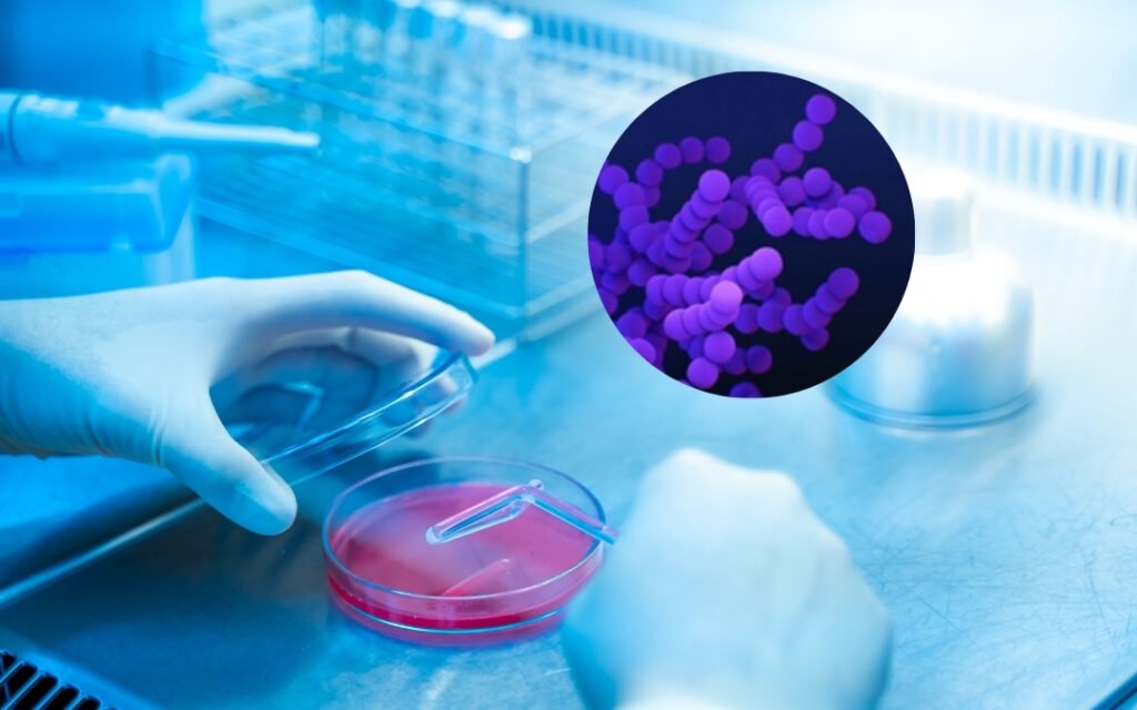 Pandemic-born infants carried a higher number of Klebsiella pneumoniae
