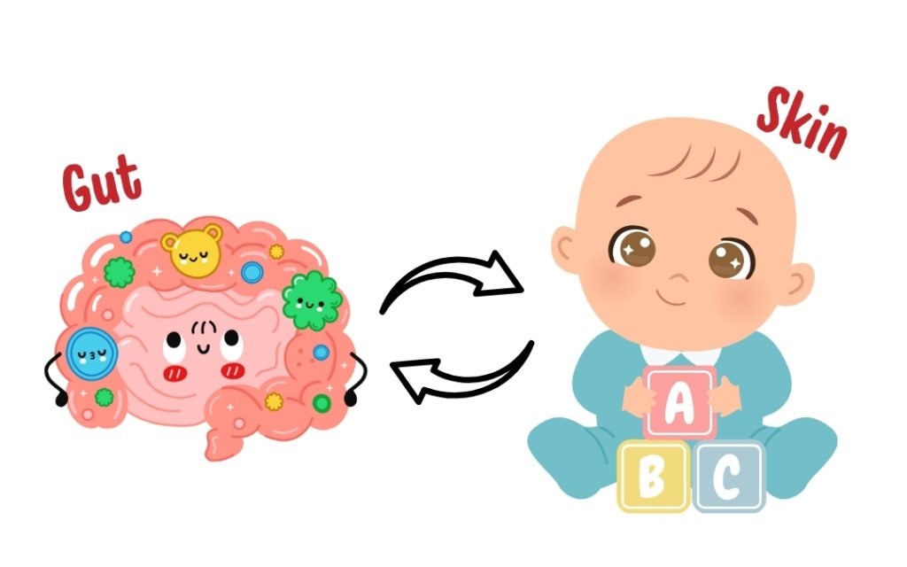 The Gut-Skin Connection: How One Affects the Other